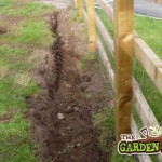 Trench for Beech Hedging