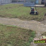 Lawn Scarification