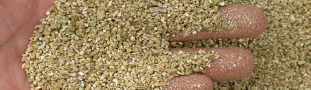 Why Use Vermiculite in Growing Mediums