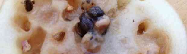Slug Damage to Potato Crops