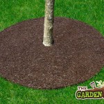Rubber Tree Ring Mat