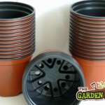 plant Pots