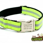 reflective dog collar