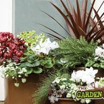 Winter Planter for Garden