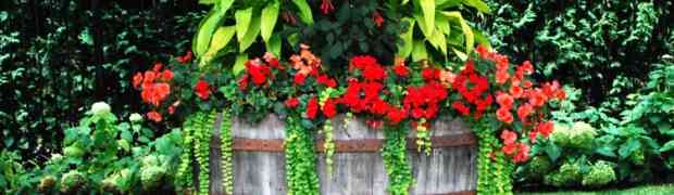 Garden Planters For Shaded Sites