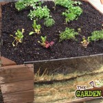 No Dig Raised Bed