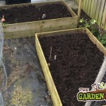 Raised beds prepared