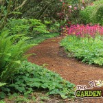 bark chippings garden