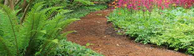 Bark Chippings Advantages