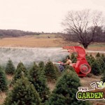 Spraying Trees