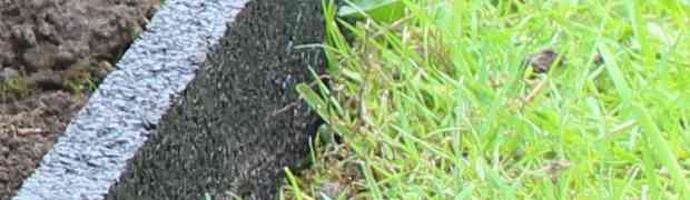 Rubber Garden Edging for Low Maintenance Gardening