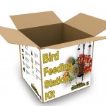 Bird Feeding Kit
