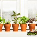 Window sill pots