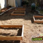 Positioning Raised Beds