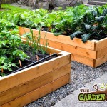 Raised beds