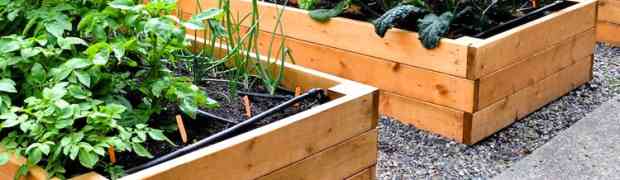 Raised Beds - Where to Position