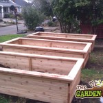 Tall Raised Beds